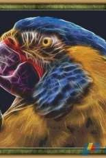 StitchX Cross Stitch Designs - Macaw Fractal