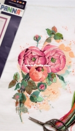 Ranunculus - beautiful flowers