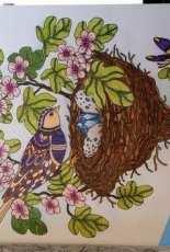 Coloring