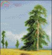 Solaria Gallery Rye (Small)