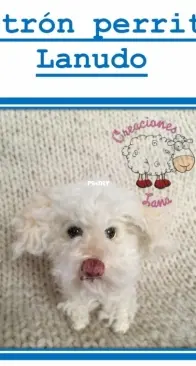 Creaciones Lana - Yazmín González Sánchez - Shaggy Dog - Perrito lanudo - Spanish