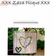 Zaza Picque Ma Cabane