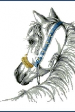 Coricamo - 8750 - Arab Horse XSD