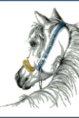 Coricamo - 8750 - Arab Horse XSD