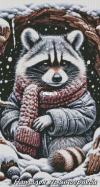 Baby Raccoon by Natalia Pyshnograeva - XSD