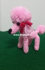 mini poodle