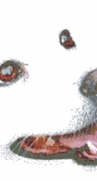 White Dog - Igolki