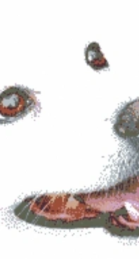 White Dog - Igolki