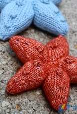 Sea Star by Rachel Borello Carroll - free