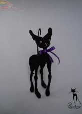 Black cat