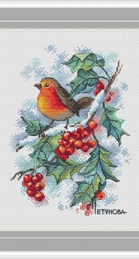 Green Terrace - Winter Guest Robin by Anna Petunova