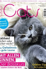 Our Cats - October 2018 - German