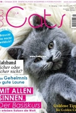 Our Cats - October 2018 - German