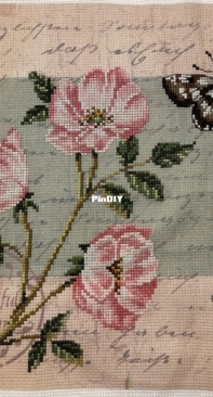 RTO - Postcard, Dog roses