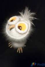 owl