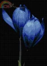 Better Cross Stitch - Crocus - free