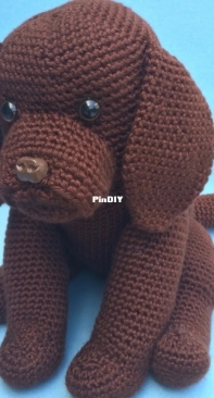 Bvoe - Barbara Voelker - Chocolate Lab Puppy
