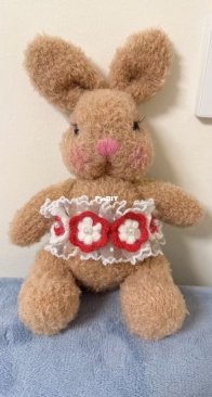 A cute rabbit