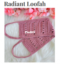 The Loophole Fox - Shannon Holding - Radiant Loofah