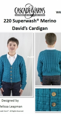 Davids Cardigan- Free