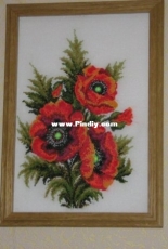 Poppies