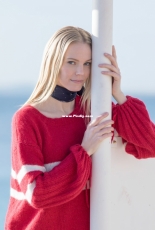 Dale Gull 380-10 Ingrid genser rød by Iselin Hafseld – Norwegian – free