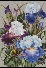 Chimera -Irises and Bumblebee