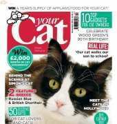 Your Cat-December-2014