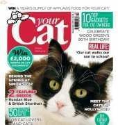 Your Cat-December-2014