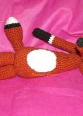 Mi zorrito