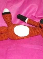 Mi zorrito