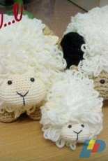 sheep