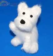 Pixie Kitten - West Highland White Terrier