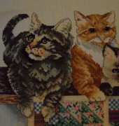 Cats
