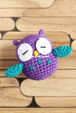 Little owl