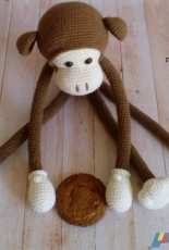 The monkey