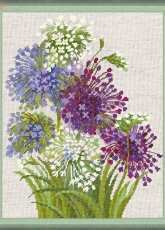 Riolis 1484 Allium