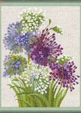 Riolis 1484 Allium