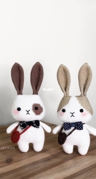 Hainchan Design - Hainchan - Hanh Tran - Rey The Little Bunny