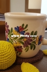 Turtle coaster