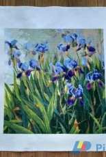 Charivna Mit - Field of Irises