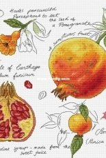 Botany Series -  Pomegranate - Alla Erokhova XSD