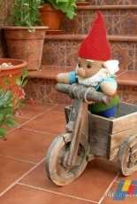 Chinuki drakiluki - Garden gnome - Spanish-Free