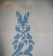 rabbit