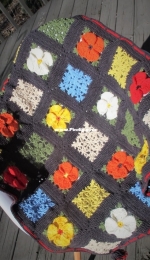 Plain Jane Craft - Jane Zane - Antelope Valley Blanket - Free