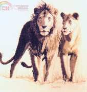 Couchman Creations CC022 Pride