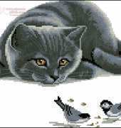 Alisena 1109 The Observer Cat XSD