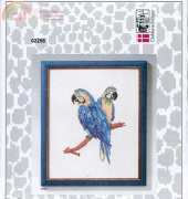 OOE 02256 - Parrots