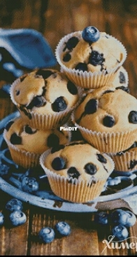 Chimera - Blueberry Muffins