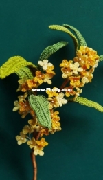 Sweet-scented Osmanthus